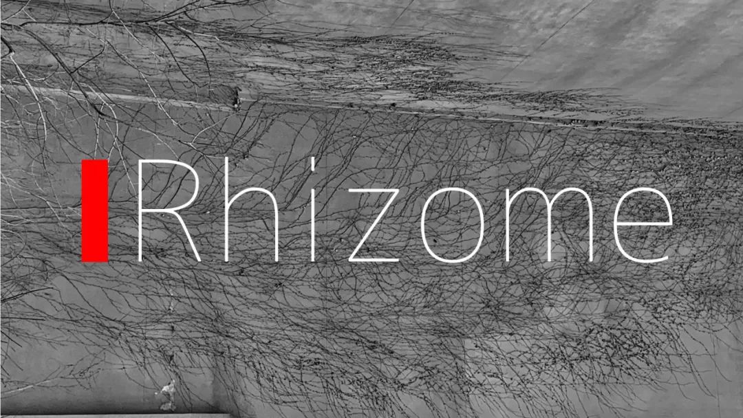 根茎