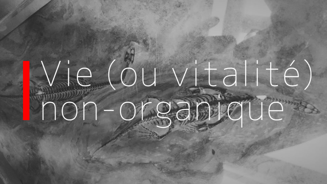 非有机生命（或活力性）