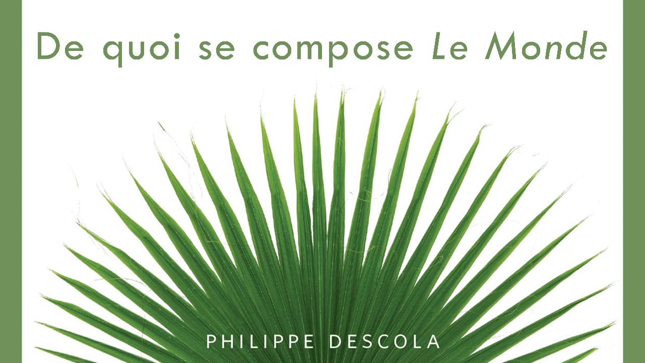 世界由什么构成？——加西亚论Descola的本体论